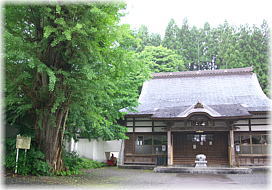 画像:信正寺の銀杏(本堂とイチョウ)