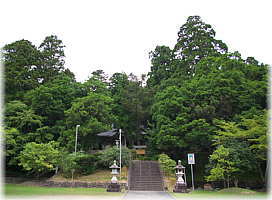 画像:春日神社社叢