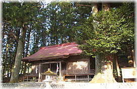 画像:田野口津島神社