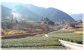 画像:田野口津島神社前に広がる風景