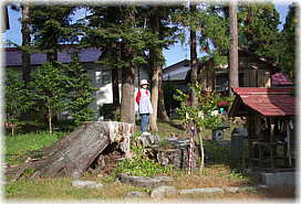 �摜�F�@���_�Ђɂ������X�M�i�H�j�؊�