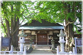 画像:円光寺の夫婦カツラ_2