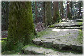 画像:福王神社参道