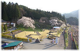 画像:臥龍桜(遠景)