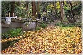 画像:乾徳寺墓地(一部)