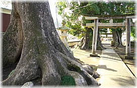 画像:熊野神社参道