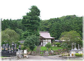 画像:如来寺のイチョウ(全景)