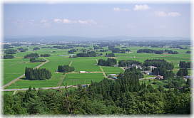 画像:観音堂からの眺望