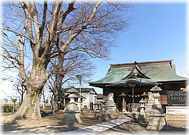 画像:大桑神社の欅