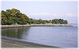 画像:大瀬崎