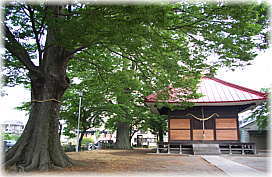 画像:菅谷神明宮