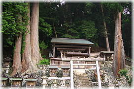 画像:十二社神社の三本杉