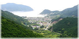 �摜�F�V�������]