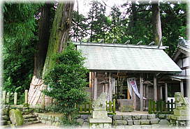 画像:美鹿の神明杉_2