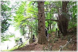画像:長命寺跡のもみ