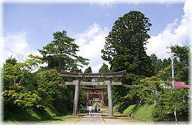 画像：岩木山神社の五本杉（遠景）