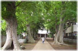 画像:真鍋八坂神社参道