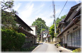 画像:大原の大杉(遠景)