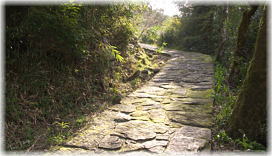画像:羅漢寺参道