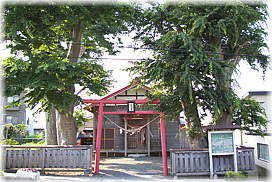 画像：二子石稲荷神社のケヤキ_2