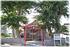 画像:二子石稲荷神社のケヤキ_2