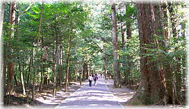 画像:滝原宮参道