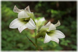 �摜�F�E�o����_2