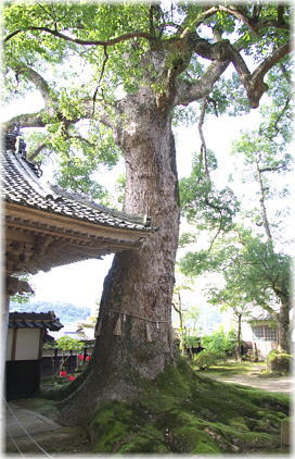 �摜�F��掛�̂���