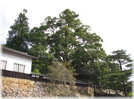 �摜�F��掛�̂����i���i�j