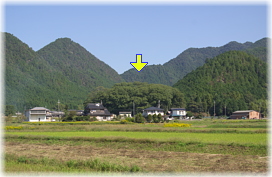 画像:加和良神社社叢