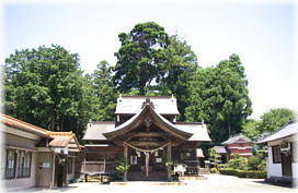 画像：小村神社の牡丹杉（遠景）