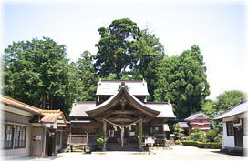画像:小村神社の牡丹杉(遠景)