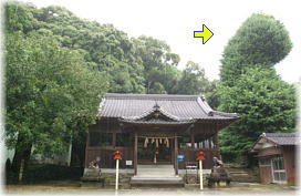 画像:大宮の乳銀杏(全景)
