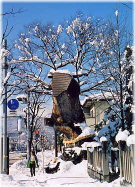 画像：安達神社のケヤキ