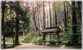 画像:赤蔵神社の境内林