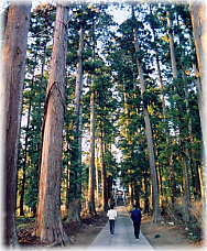 画像:荒川神社参道