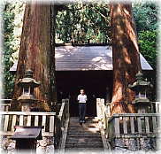 画像:恵那神社の夫婦杉(幹と並ぶ)