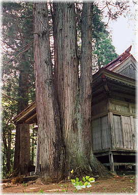 �摜�F�o��牮�_�Ђ̃X�M