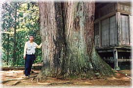 �摜�F�o��牮�_�Ђ̃X�M�i���ƕ��ԁj