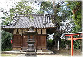 �摜�F���}�_��