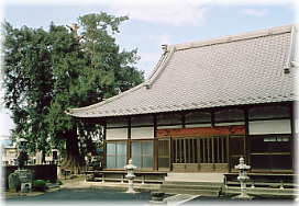 画像:宝輪寺のカヤと本堂