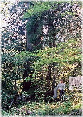 �摜�F�ɐ����̑吙�i���ƕ��ԁj