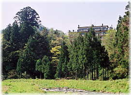 �摜�F�ɐ����̑吙�i���i�j