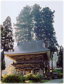 画像:常慶院のスギ(山門とスギ)