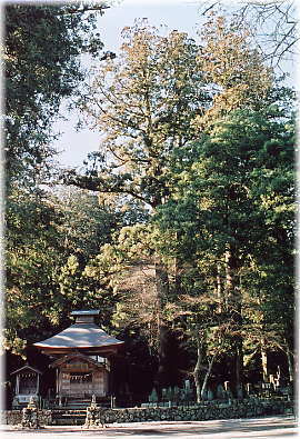 �摜�F��@���̃X�M