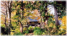 画像:高源院参道