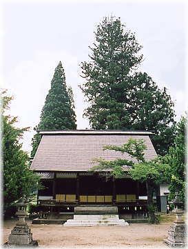 画像:栗原神社の杉(全景)