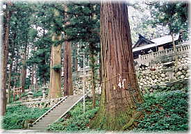 画像:七椙神社