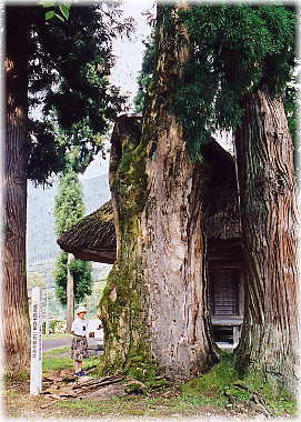 �摜�F�Ԕ��̋{�̂��₫�i���ƕ��ԁj