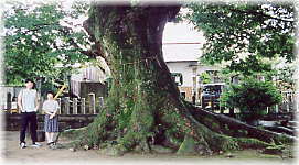 �摜�F��v�ۂ̑�P���L�i���ƕ��ԁj